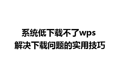 系统低下载不了wps 解决下载问题的实用技巧