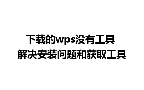 下载的wps没有工具 解决安装问题和获取工具