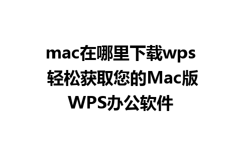 mac在哪里下载wps 轻松获取您的Mac版WPS办公软件