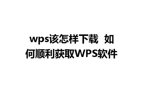 wps该怎样下载  如何顺利获取WPS软件