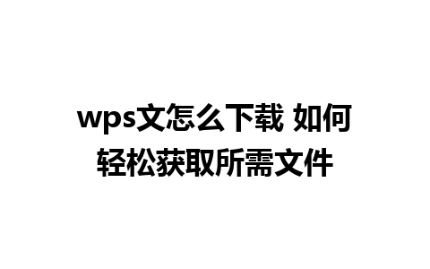 wps文怎么下载 如何轻松获取所需文件