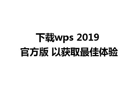 下载wps 2019 官方版 以获取最佳体验