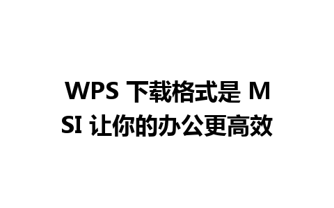 WPS 下载格式是 MSI 让你的办公更高效