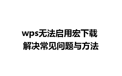 wps无法启用宏下载 解决常见问题与方法