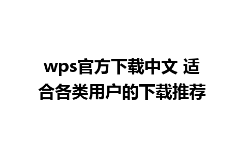 wps官方下载中文 适合各类用户的下载推荐