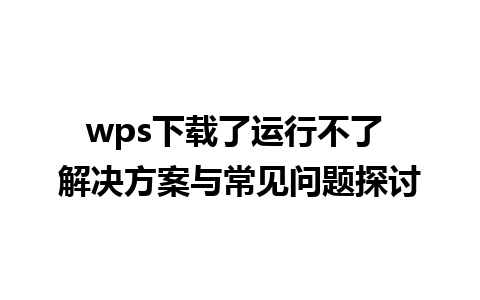 wps下载了运行不了 解决方案与常见问题探讨