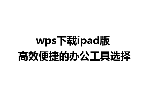 wps下载ipad版 高效便捷的办公工具选择