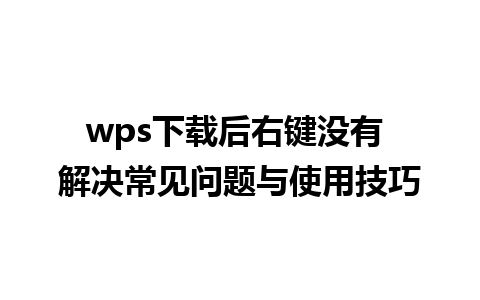 wps下载后右键没有 解决常见问题与使用技巧