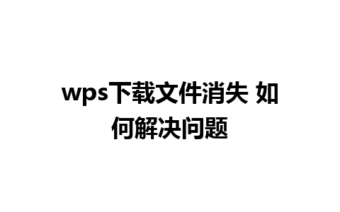 wps下载文件消失 如何解决问题