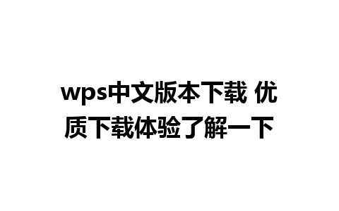 wps中文版本下载 优质下载体验了解一下