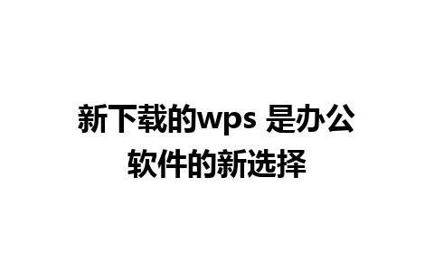 新下载的wps 是办公软件的新选择