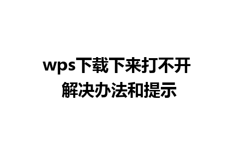 wps下载下来打不开 解决办法和提示