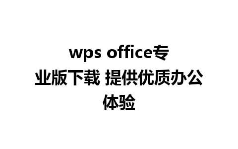 wps office专业版下载 提供优质办公体验