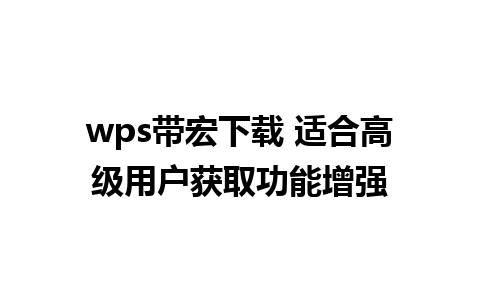 wps带宏下载 适合高级用户获取功能增强