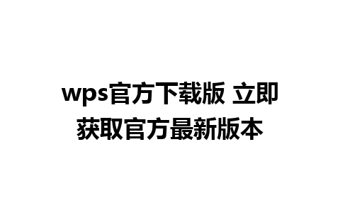 wps官方下载版 立即获取官方最新版本