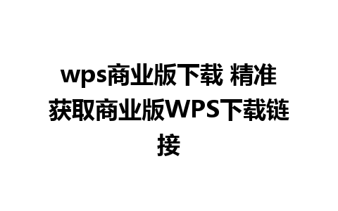 wps商业版下载 精准获取商业版WPS下载链接