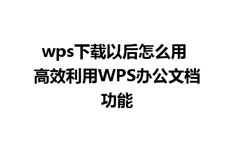 wps下载以后怎么用 高效利用WPS办公文档功能