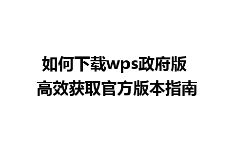 如何下载wps政府版 高效获取官方版本指南