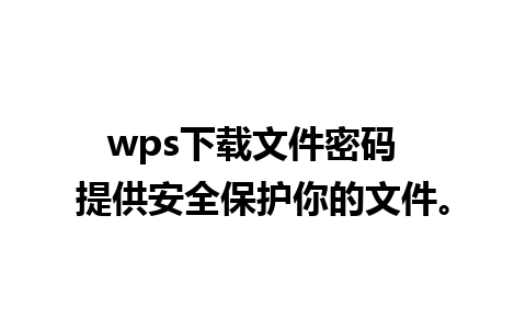 wps下载文件密码  提供安全保护你的文件。