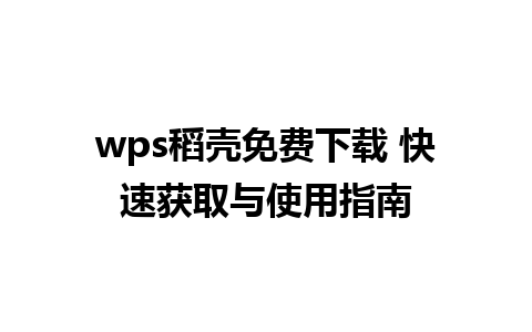 wps稻壳免费下载 快速获取与使用指南