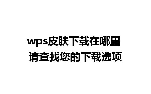 wps皮肤下载在哪里 请查找您的下载选项