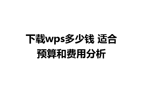 下载wps多少钱 适合预算和费用分析