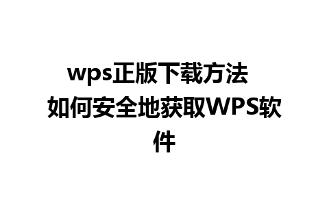 wps正版下载方法  如何安全地获取WPS软件