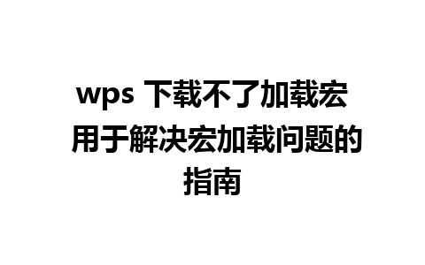 wps 下载不了加载宏 用于解决宏加载问题的指南