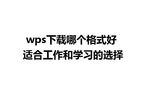 wps下载哪个格式好 适合工作和学习的选择