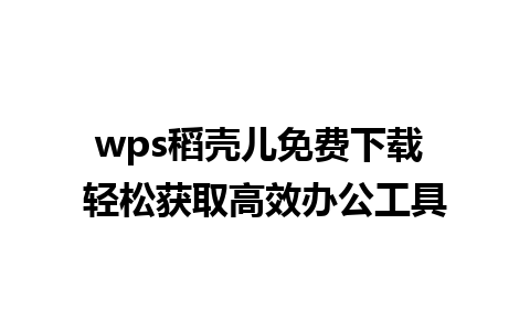 wps稻壳儿免费下载 轻松获取高效办公工具