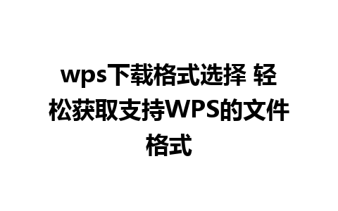 wps下载格式选择 轻松获取支持WPS的文件格式