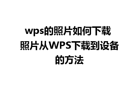 wps的照片如何下载 照片从WPS下载到设备的方法