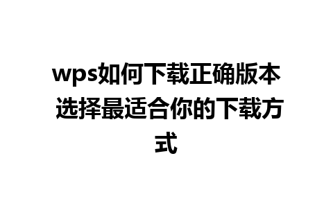 wps如何下载正确版本 选择最适合你的下载方式