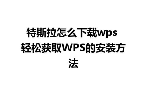 特斯拉怎么下载wps 轻松获取WPS的安装方法