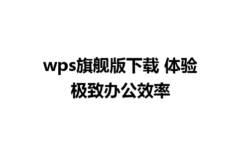 wps旗舰版下载 体验极致办公效率