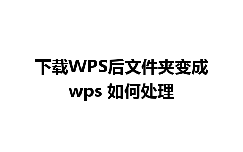 下载WPS后文件夹变成wps 如何处理