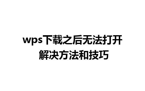 wps下载之后无法打开 解决方法和技巧