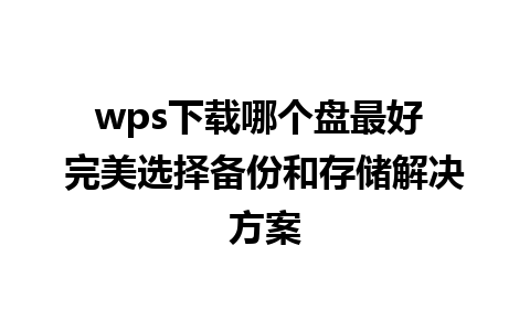 wps下载哪个盘最好 完美选择备份和存储解决方案