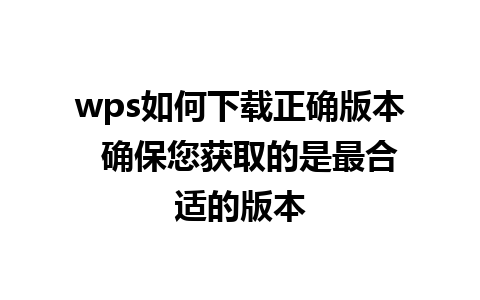 wps如何下载正确版本  确保您获取的是最合适的版本