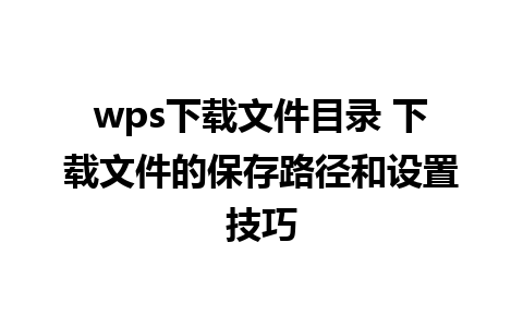 wps下载文件目录 下载文件的保存路径和设置技巧