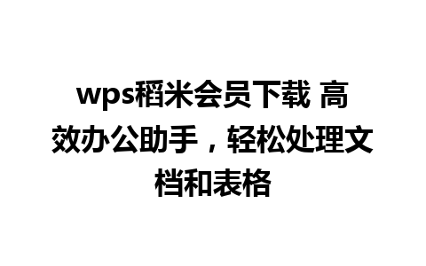 wps稻米会员下载 高效办公助手，轻松处理文档和表格