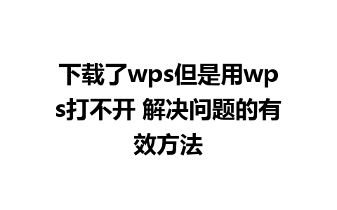 下载了wps但是用wps打不开 解决问题的有效方法