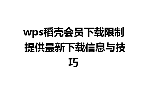 wps稻壳会员下载限制 提供最新下载信息与技巧