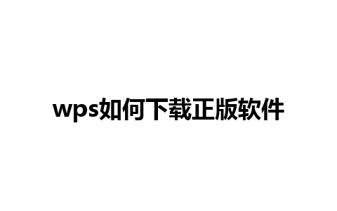 wps如何下载正版软件