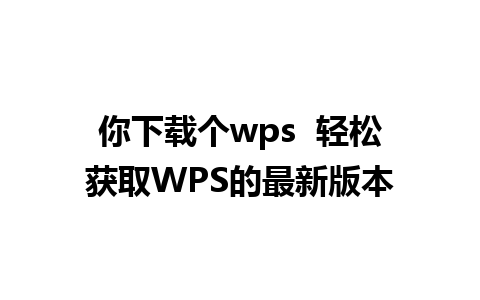 你下载个wps  轻松获取WPS的最新版本