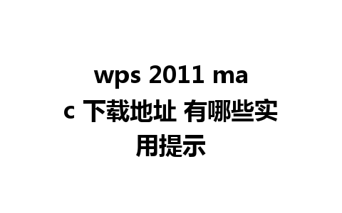 wps 2011 mac 下载地址 有哪些实用提示