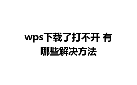 wps下载了打不开 有哪些解决方法