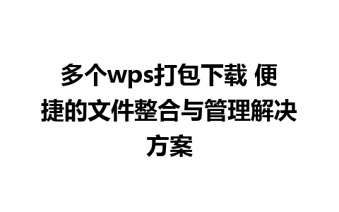 多个wps打包下载 便捷的文件整合与管理解决方案