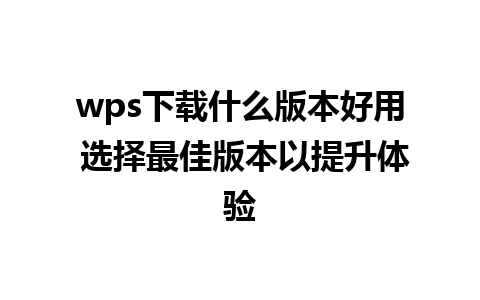 wps下载什么版本好用 选择最佳版本以提升体验