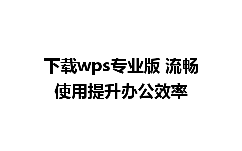 下载wps专业版 流畅使用提升办公效率